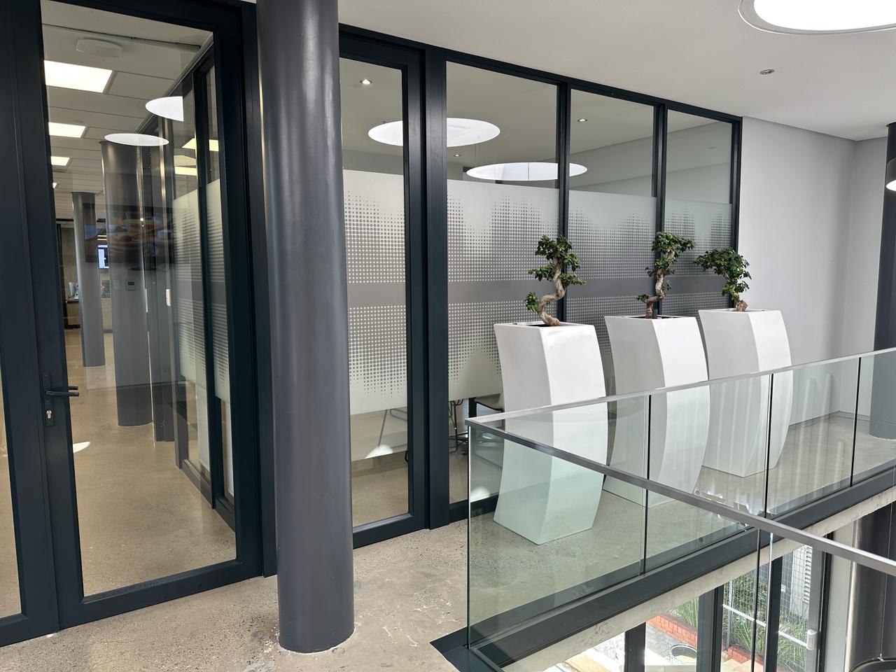 LoSurf office interior